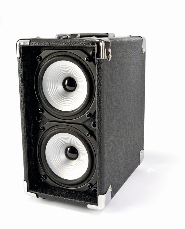AAD Cub AG-100 There's enough to the Cub to make any quality guitar sound credible